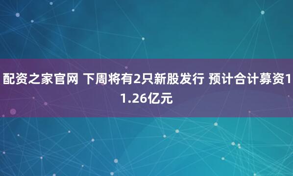 配资之家官网 下周将有2只新股发行 预计合计募资11.26亿元