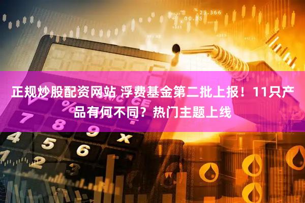 正规炒股配资网站 浮费基金第二批上报！11只产品有何不同？热门主题上线