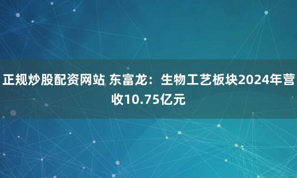 正规炒股配资网站 东富龙：生物工艺板块2024年营收10.75亿元